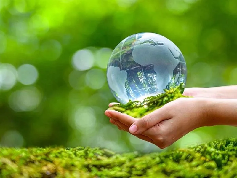 Nhà nghiên cứu làm việc với kính hiển vi