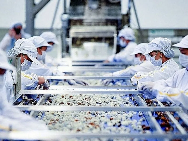 Công nhân làm việc trong nhà máy chế biến thực phẩm