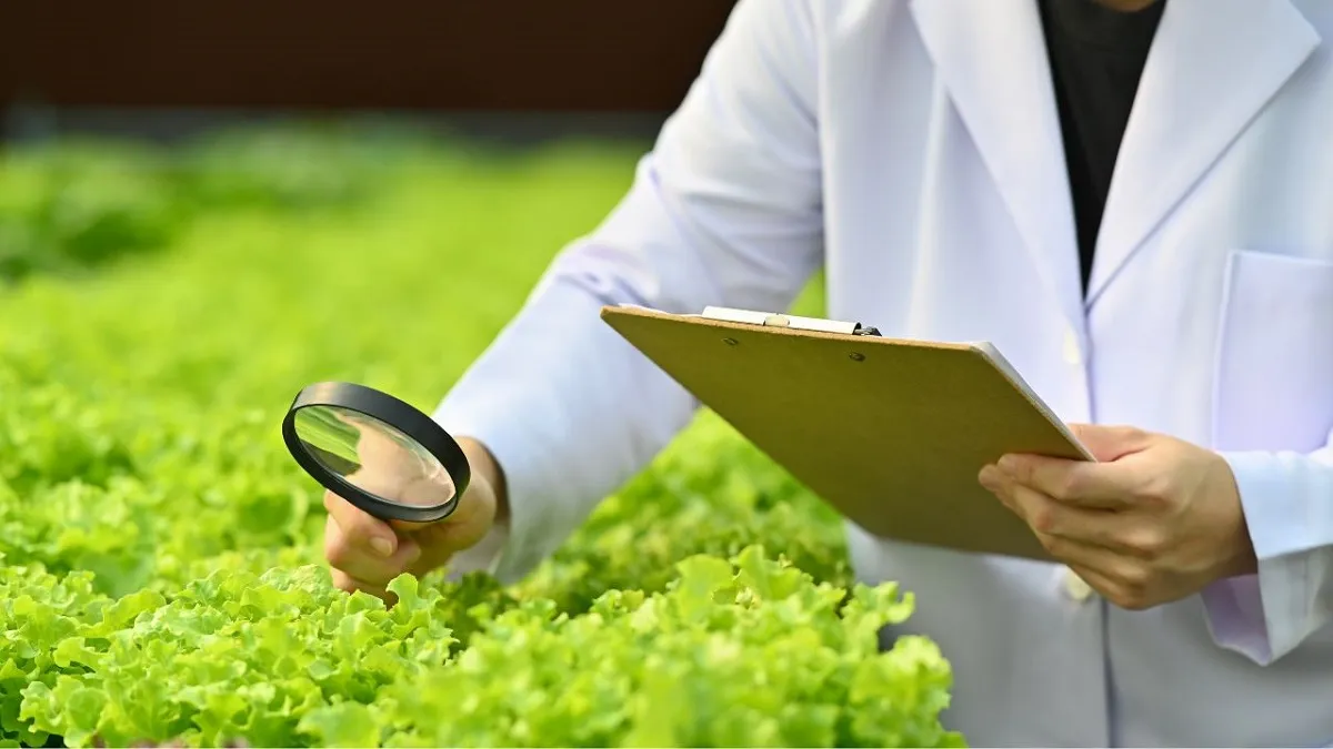 Các ngành Nông nghiệp thuộc tổ hợp B01