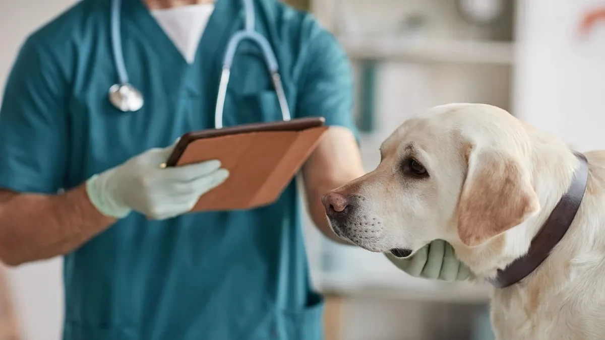 Một số ngành khác cũng tuyển sinh khối B01