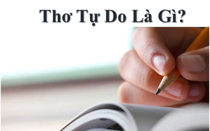 Hình ảnh minh họa về cấu trúc và luật bằng trắc của thể thơ tám chữ, cho thấy sự cân đối trong nhịp điệu thơ ca.