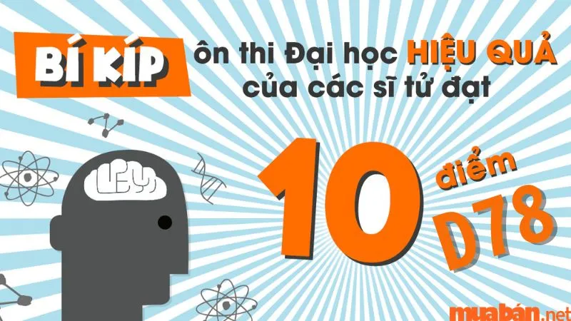 Việc hiểu rõ cách d78 tính điểm như thế nào giúp bạn đặt mục tiêu ôn luyện cụ thể