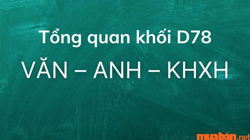 cach tinh diem khoi d78 2 1