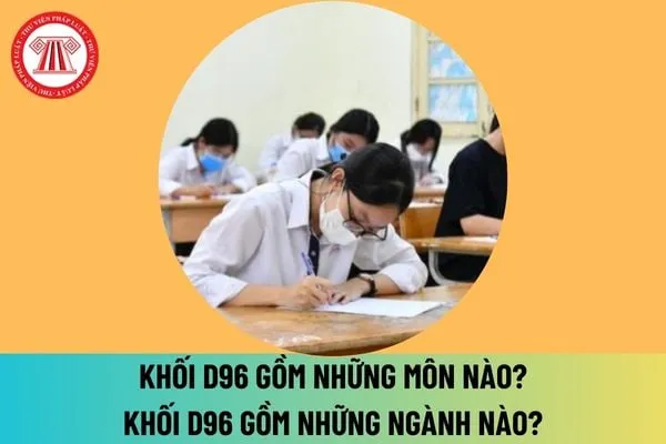 Học sinh tìm hiểu thông tin về khối D96, các môn học và ngành nghề phù hợp