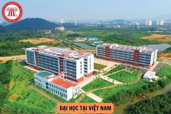Sinh viên Việt Nam trong khuôn viên trường đại học, minh họa cho hệ thống giáo dục đại học đa dạng.
