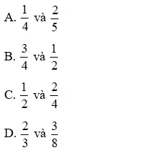 Các cặp phân số cần tìm để xác định phân số bằng nhau trong đề thi Toán 6 Kết nối tri thức.