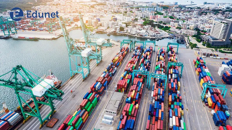 Sinh viên ngành khai thác vận tải học về logistics và chuỗi cung ứng