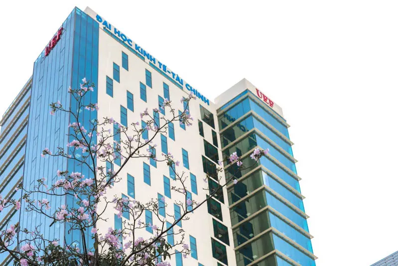 Sinh viên Đại học Kinh tế Tài chính TP.HCM (UEF) thảo luận về tài chính ngân hàng